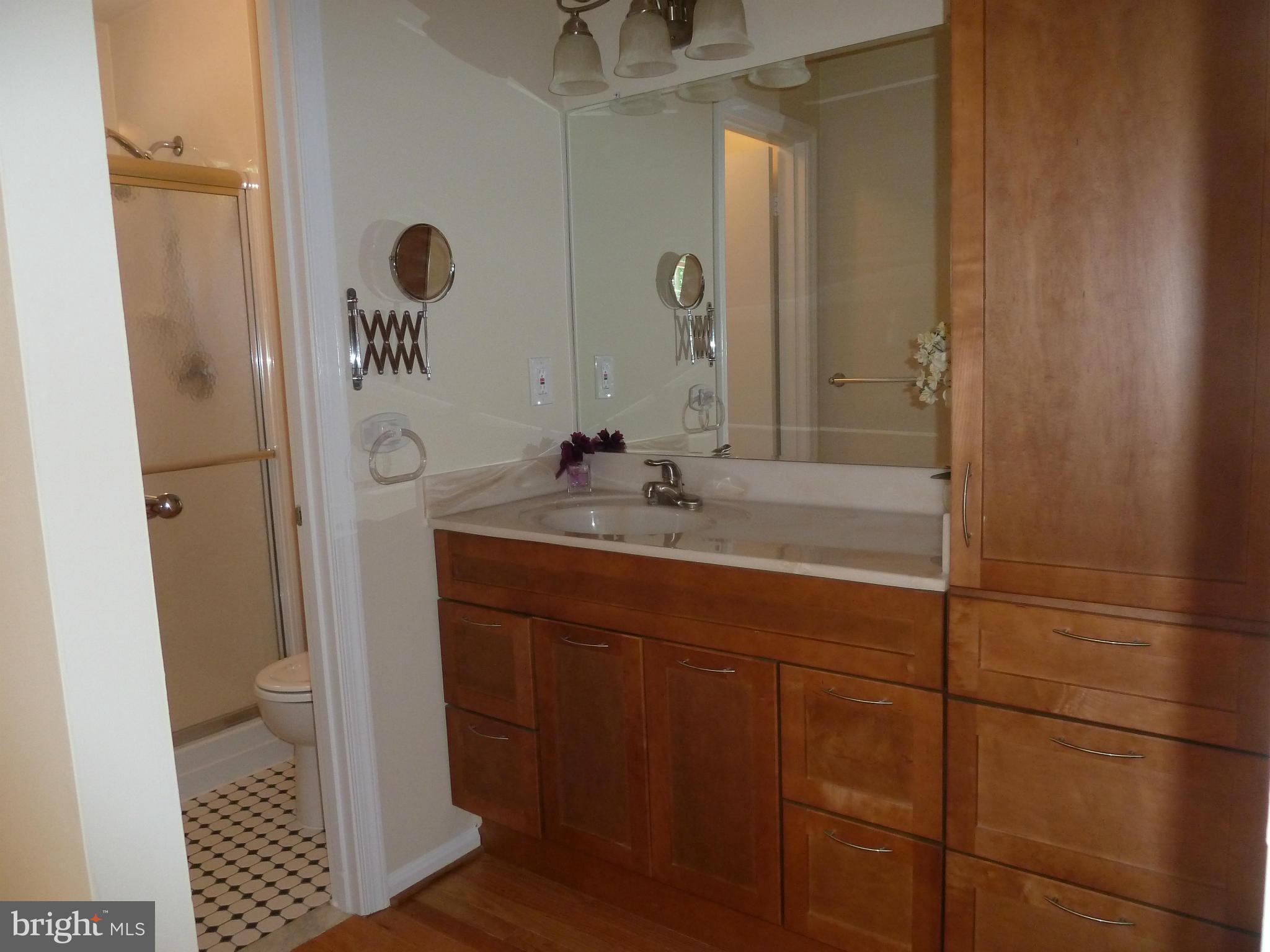 4254 Briars Road Olney, MD 20832 - Photo 20 of 30 Gorgeous Wood Vanity and Marble Top Sink in Master