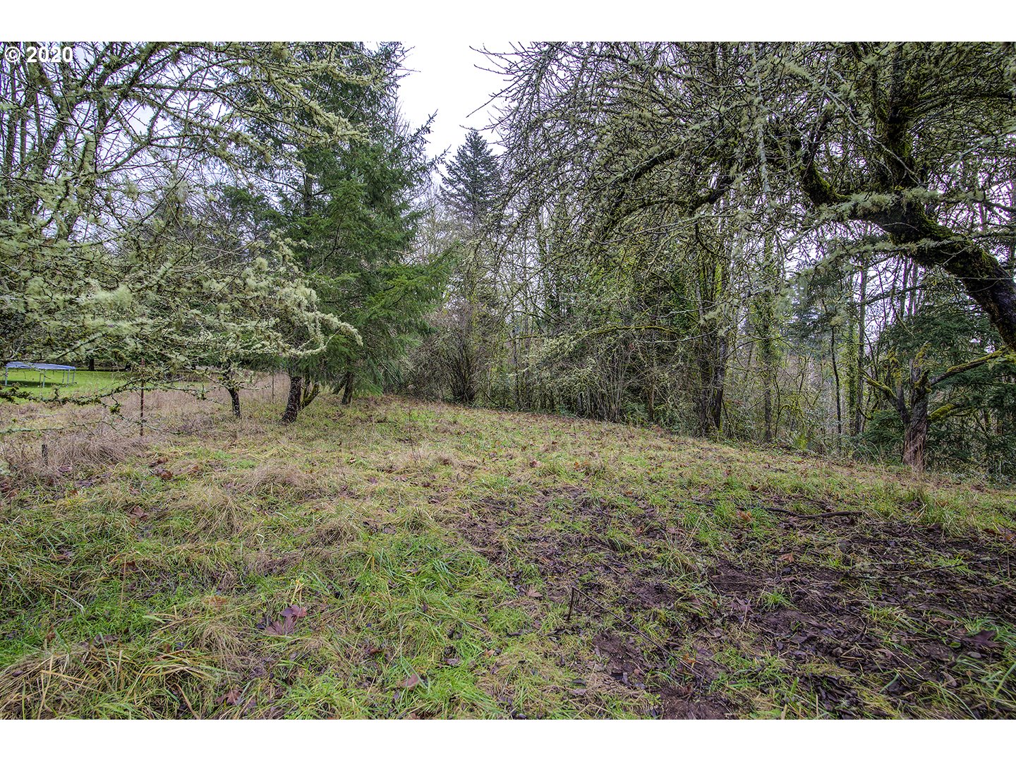 11515 Northwest Laidlaw Road Portland, OR 97229 - Photo 29 of 29 Gallery Image 29