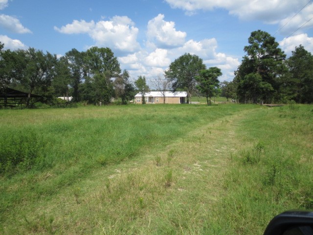 143 Piney Woods Road Trinity, TX 75862 - Photo 13 of 29 Neighbor across Piney Woods Rd.