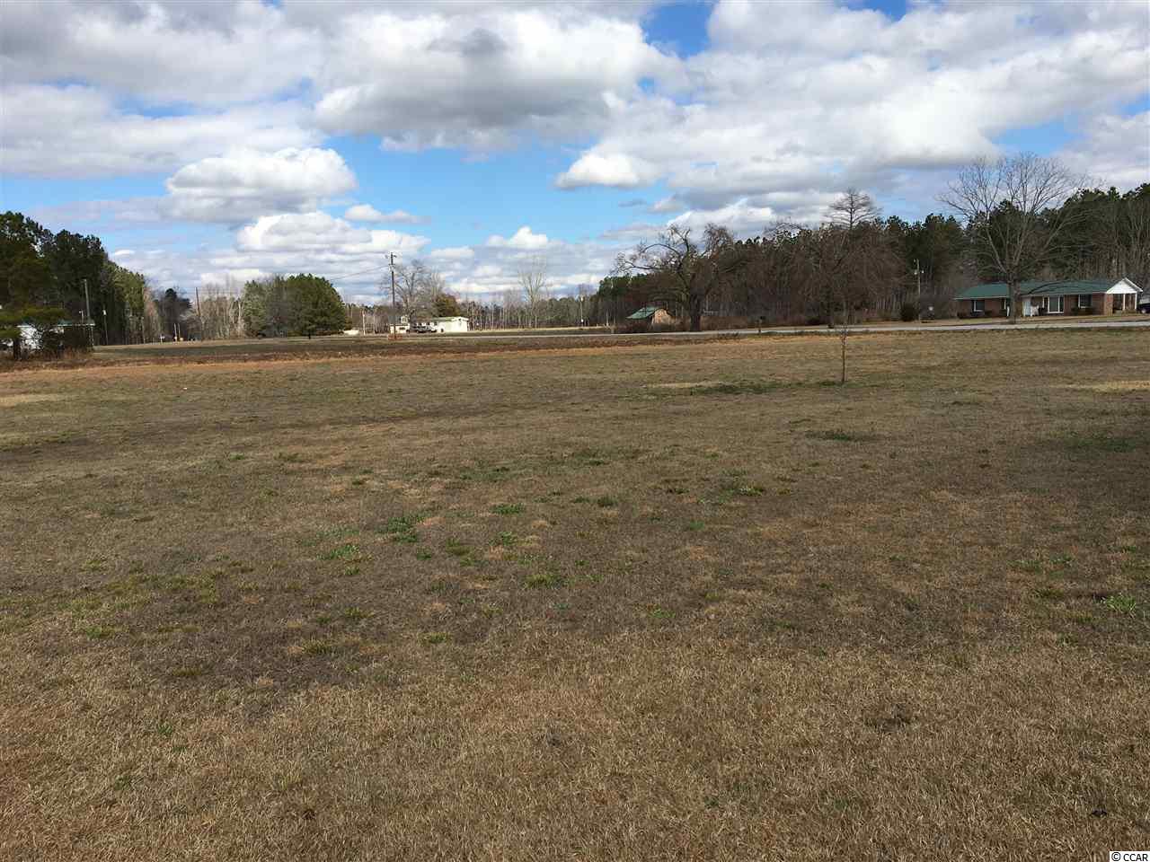 3005 Bullard Road Hemingway, SC 29554 - Photo 13 of 20