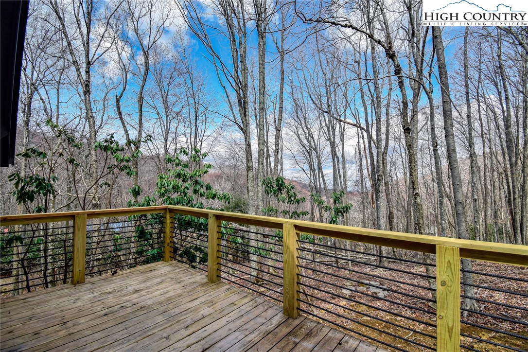 117 Shagbark Road Beech Mountain, NC 28604 - Photo 2 of 49