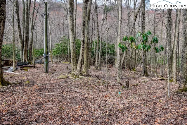 $430,000 | 117 Shagbark Road, Beech Mountain, NC 28604