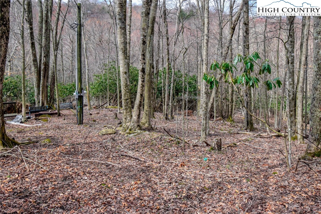 117 Shagbark Road Beech Mountain, NC 28604 - Photo 3 of 49