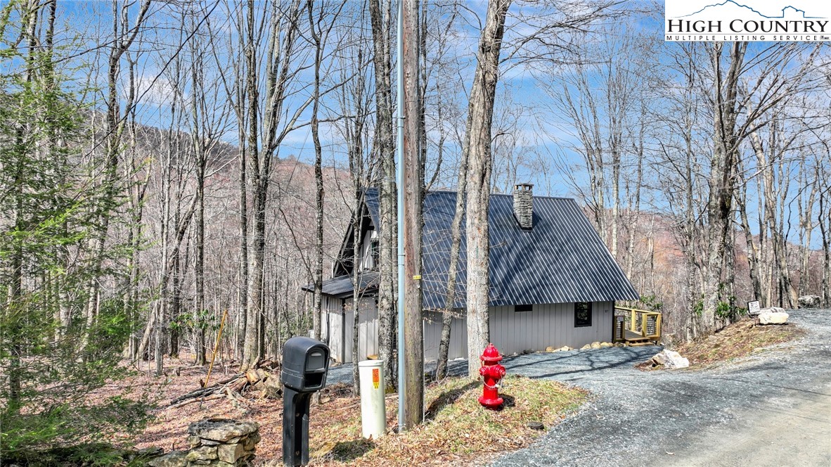 117 Shagbark Road Beech Mountain, NC 28604 - Photo 43 of 49
