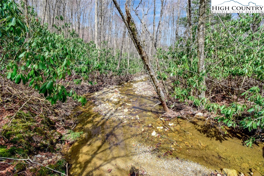 117 Shagbark Road Beech Mountain, NC 28604 - Photo 44 of 49