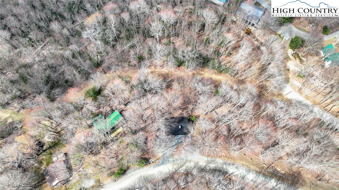 117 Shagbark Road Beech Mountain, NC 28604 - Photo 45 of 49