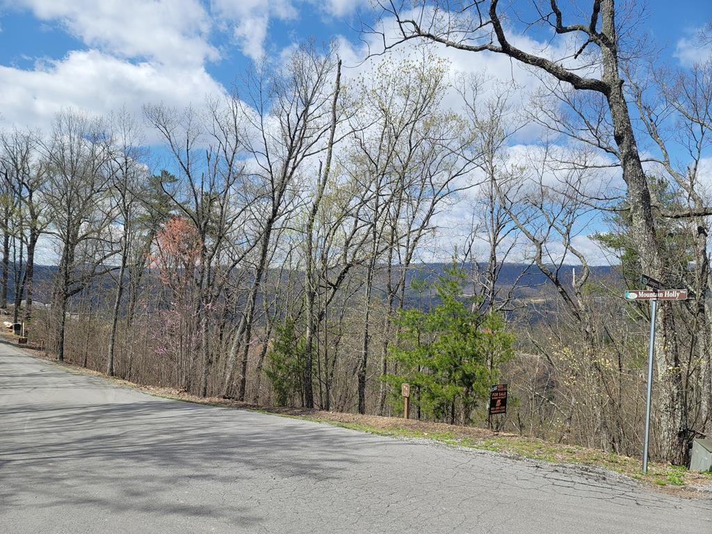 0 Coopers Hawk Way Sevierville, TN 37862 - Photo 1 of 11