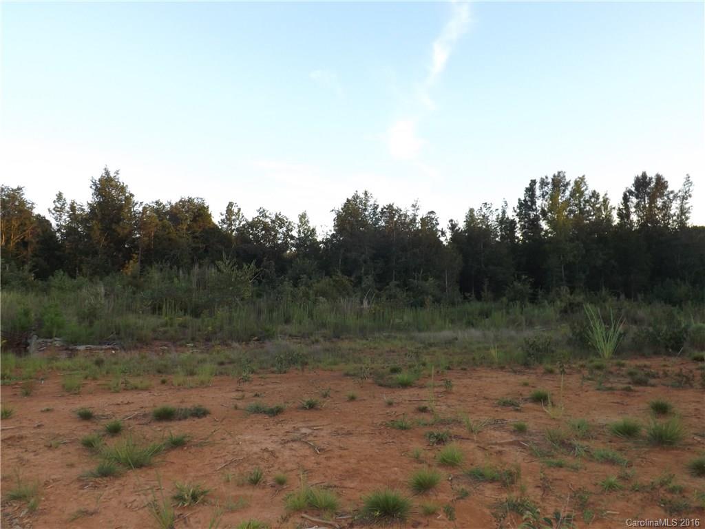 0 Stanback Ferry Road Lilesville, NC 28091 - Photo 8 of 12