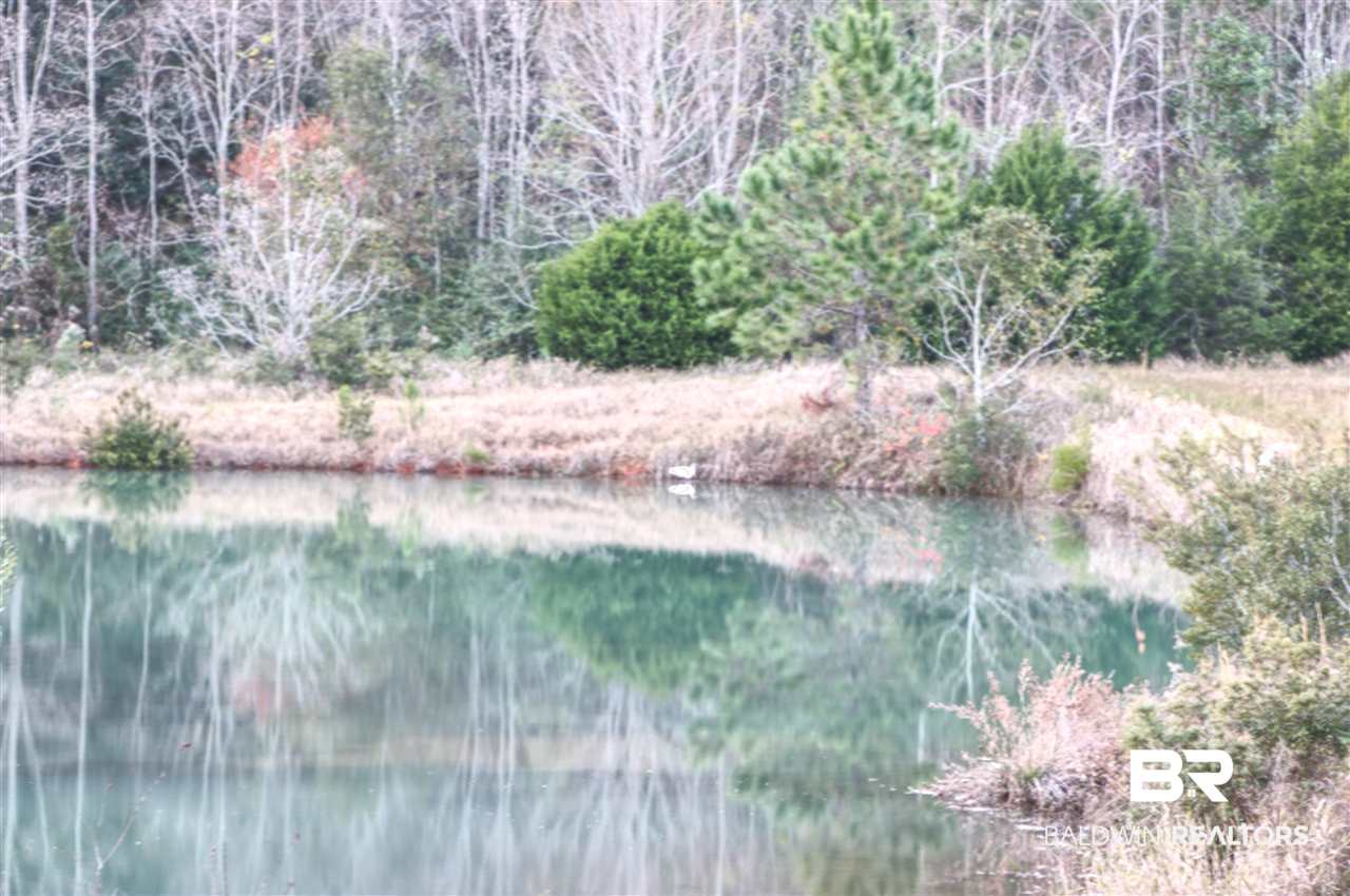 9747 Hickory Street South Foley, AL 36535 - Photo 12 of 14