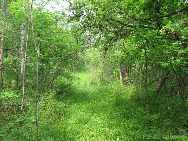 5687 Walker Road Applegate, MI 48401 - Photo 26 of 28