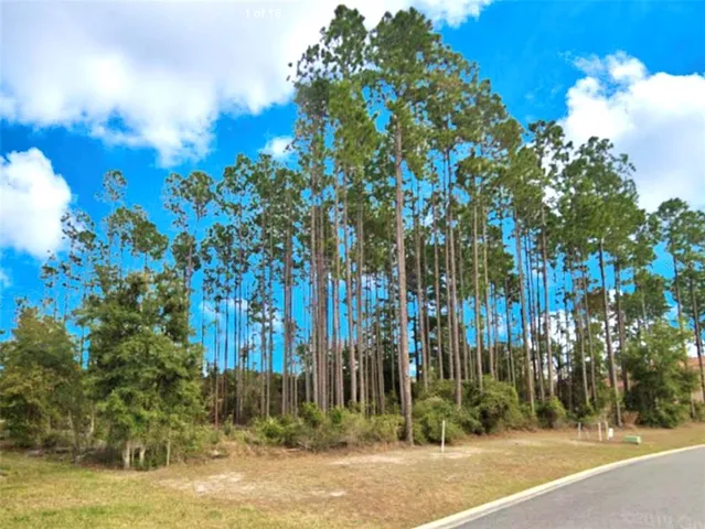 $295,545 | 85144 Napeague Drive, Fernandina Beach, FL 32034