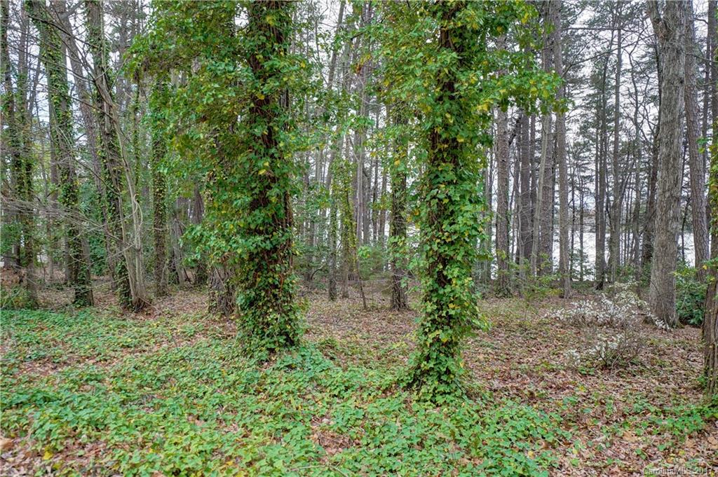 Lot 13 Luckey Point Road, Unit 13 Denver, NC 28037 - Photo 15 of 21 Gallery Image 15