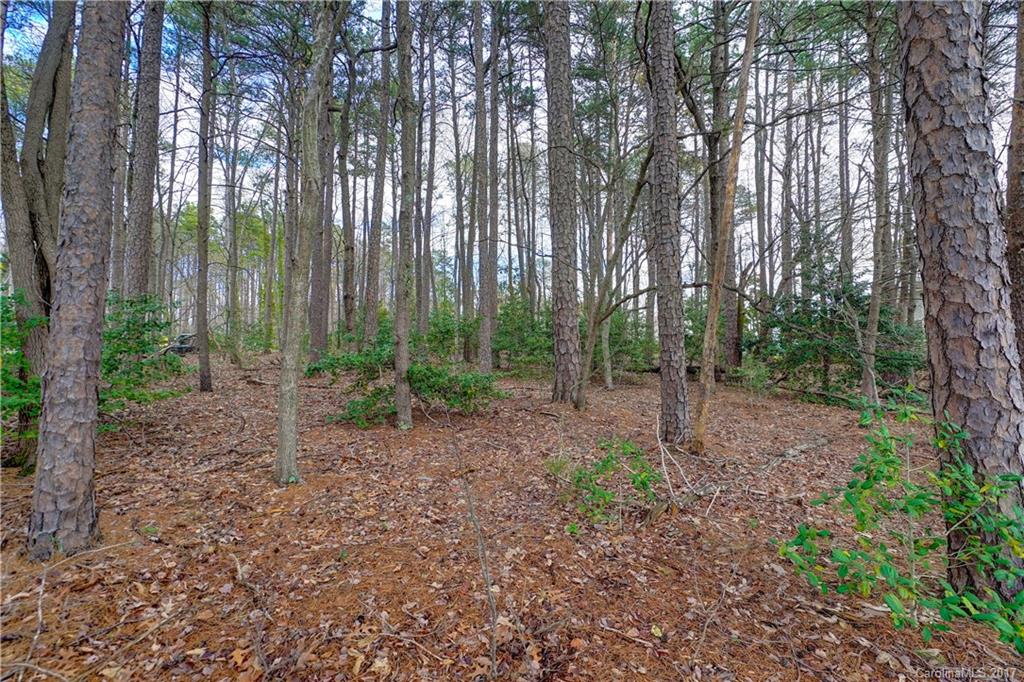 Lot 13 Luckey Point Road, Unit 13 Denver, NC 28037 - Photo 16 of 21 Gallery Image 16