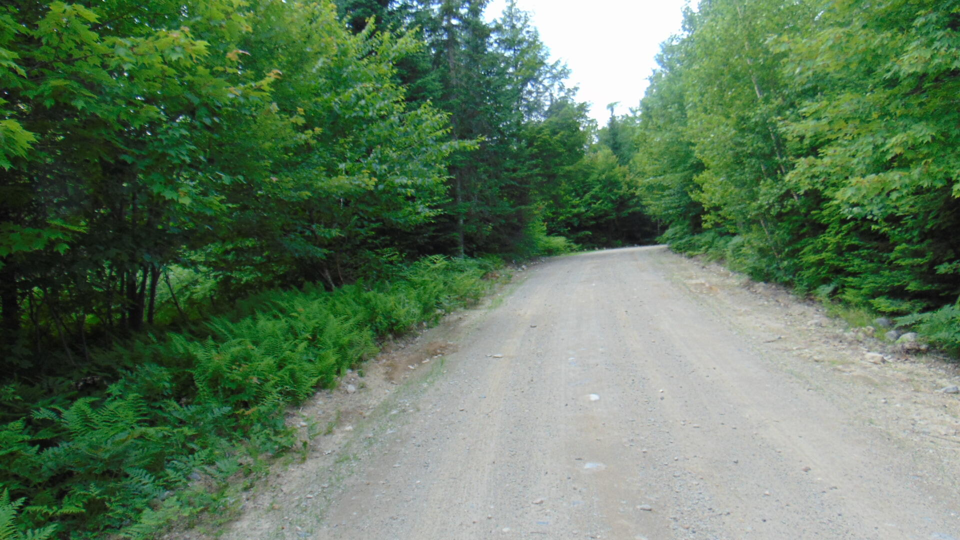 Lot 4 Weatherbee Pt Road Lincoln, ME 04457 - Photo 8 of 9 DSC04002