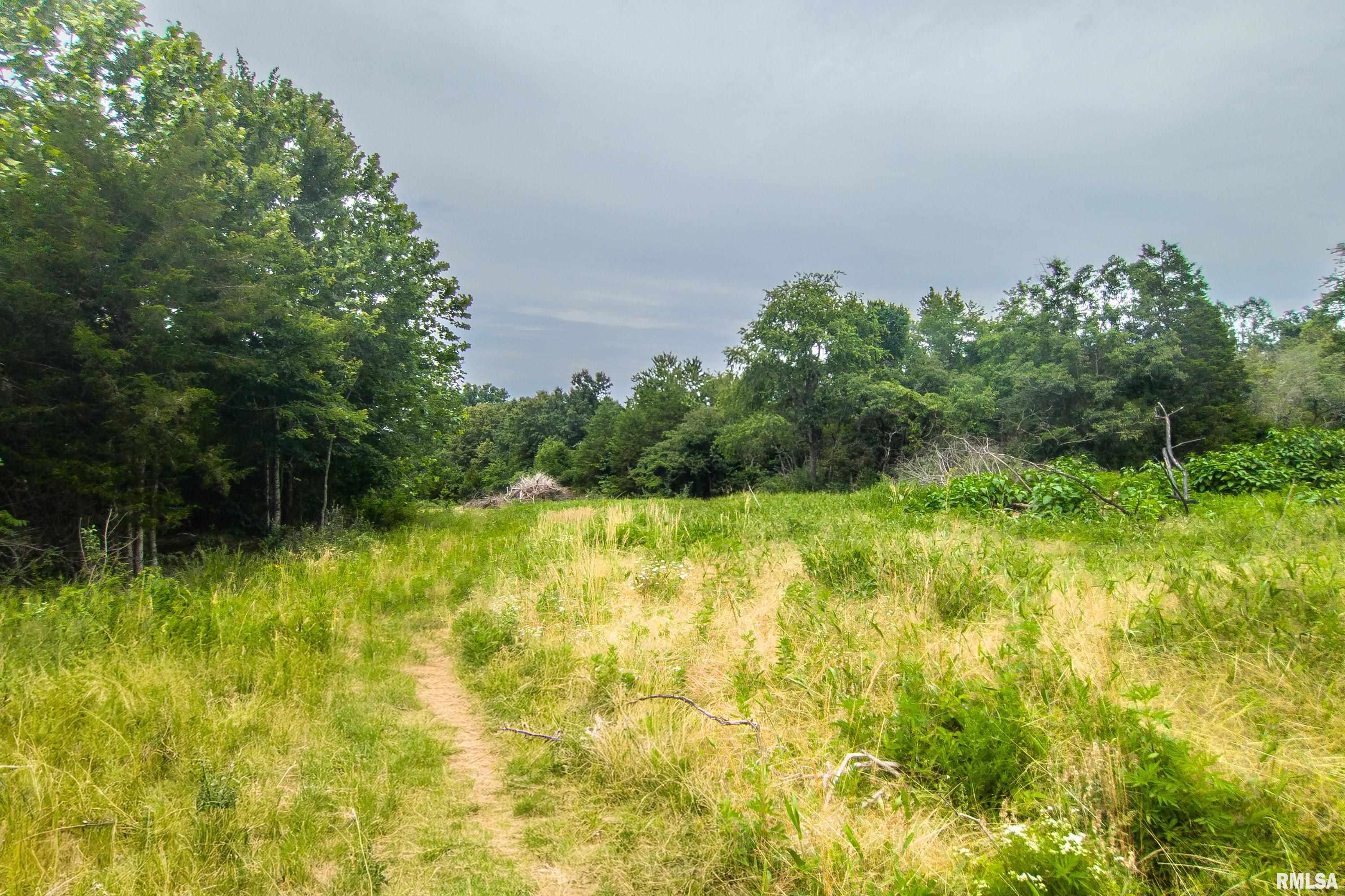16880 Malone Road Thompsonville, IL 62890 - Photo 39 of 44