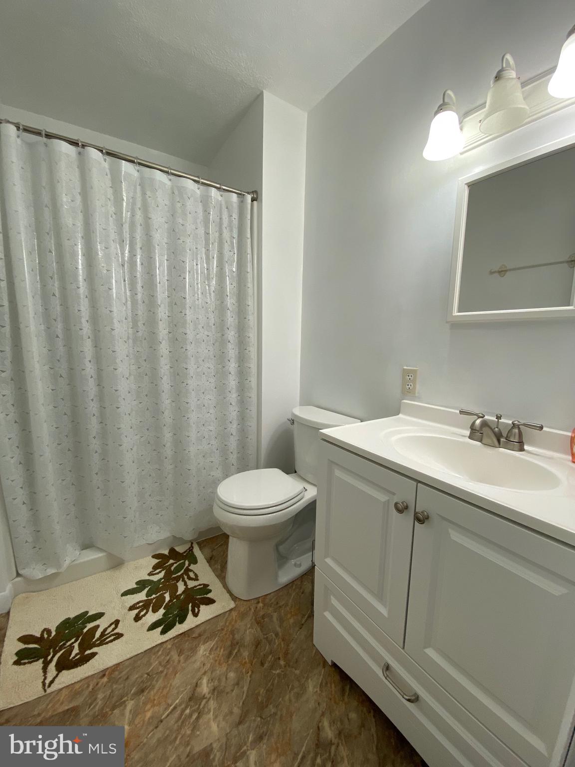4 Pious Ridge Road Berkeley Springs, WV 25411 - Photo 12 of 21 Primary Bathroom with Shower