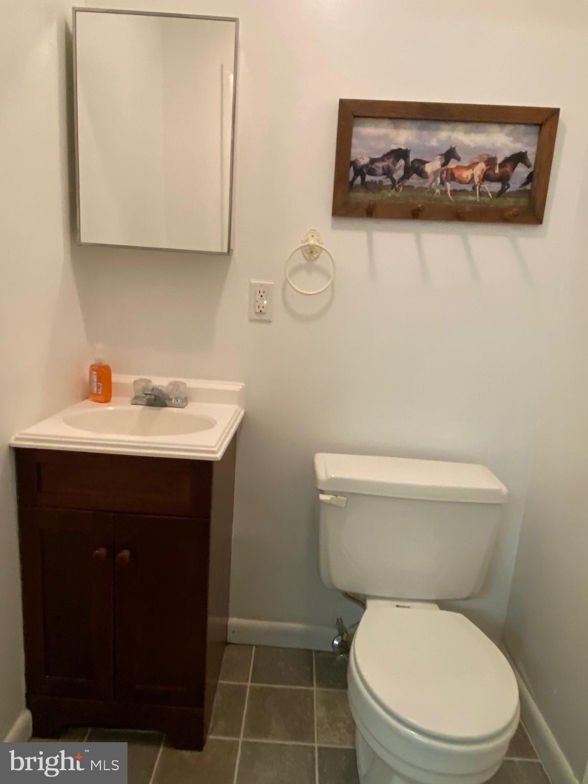4 Pious Ridge Road Berkeley Springs, WV 25411 - Photo 18 of 21 1/2 Bath - Lower Level