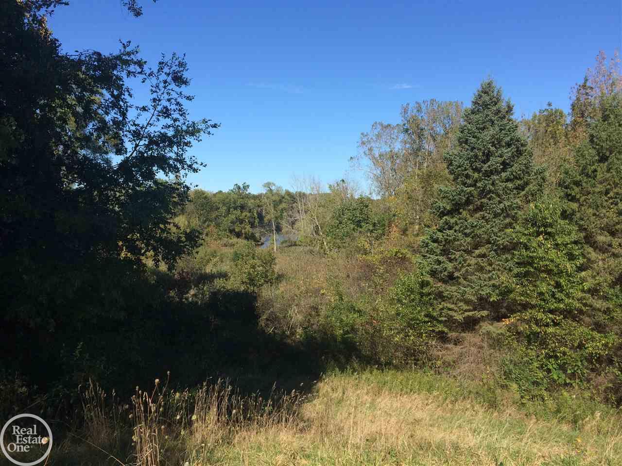 0 Yorkshire Port Huron, MI 48060 - Photo 8 of 11