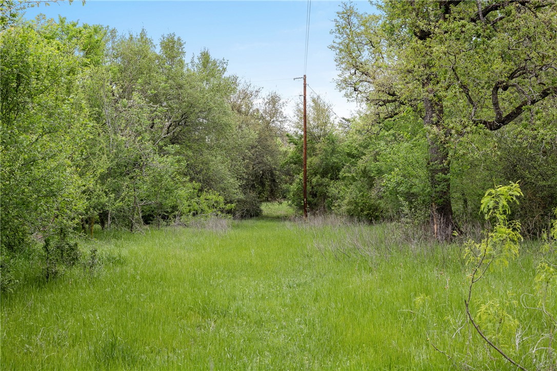 433 County Road 433 Dime Box, TX 77853 - Photo 11 of 24
