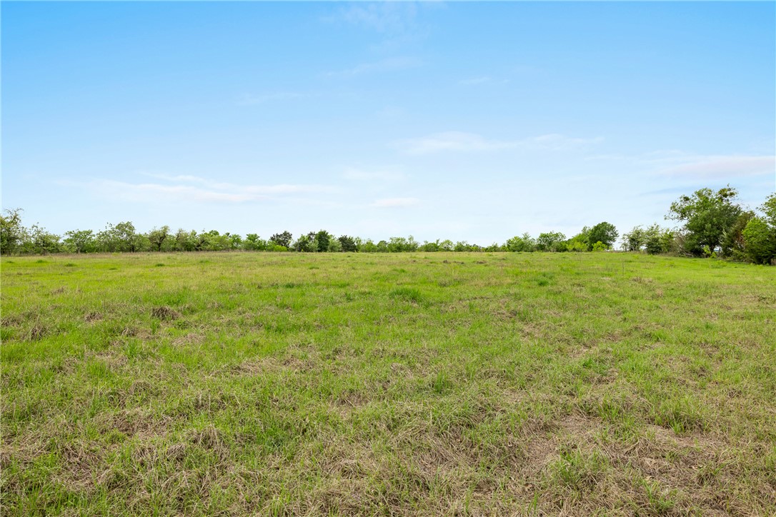 433 County Road 433 Dime Box, TX 77853 - Photo 8 of 24