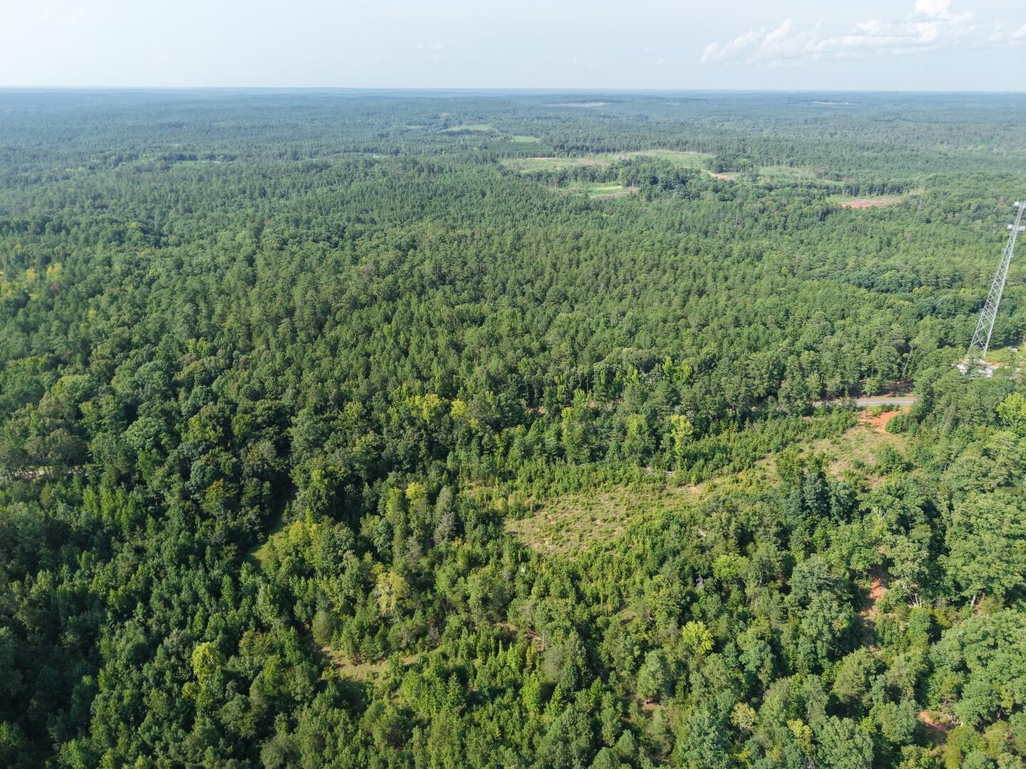 DJI_20260811170600_0255_D (Large)