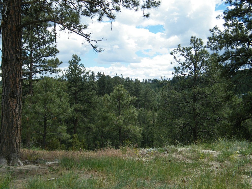 448 West Parrot Creek Road Roundup, MT 59072 - Photo 5 of 18 Gallery Image 5