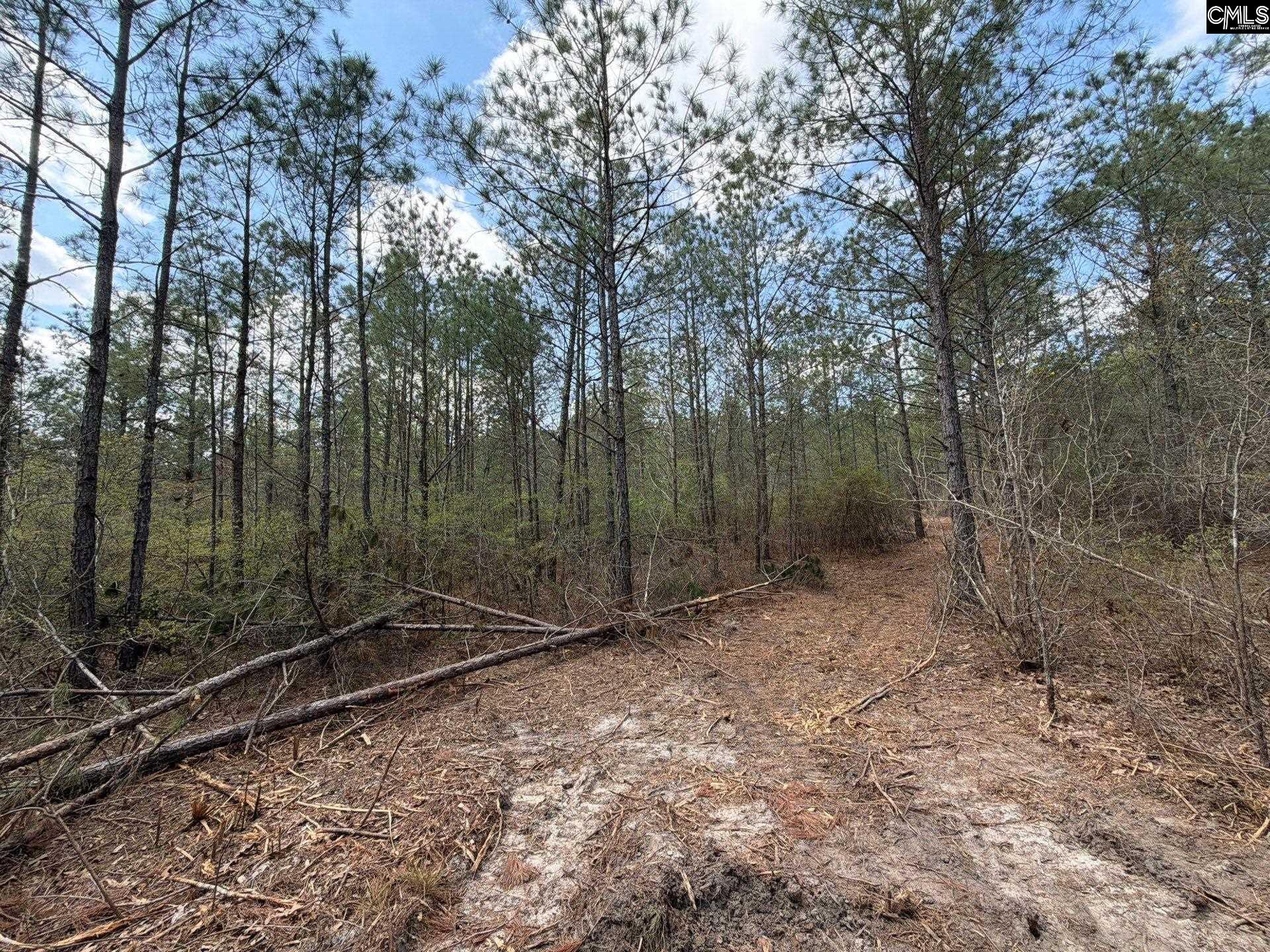 2 Mt Calvary Rd Ridge Spring, Unit CA 2 Ridge Spring, SC 29129 - Photo 22 of 29