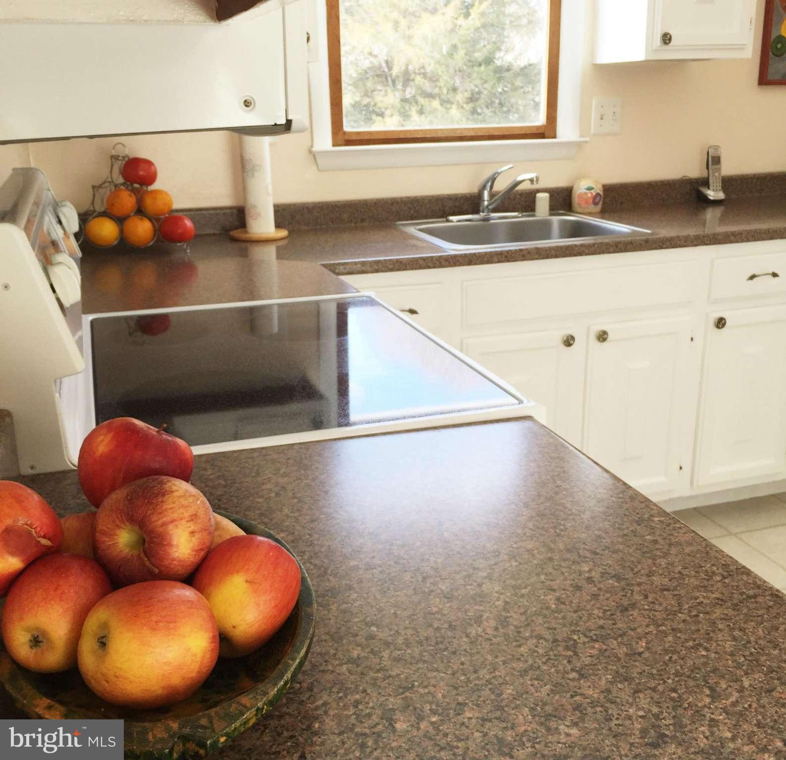 2491 Grimville Road Mount Airy, MD 21771 - Photo 6 of 30 Kitchen