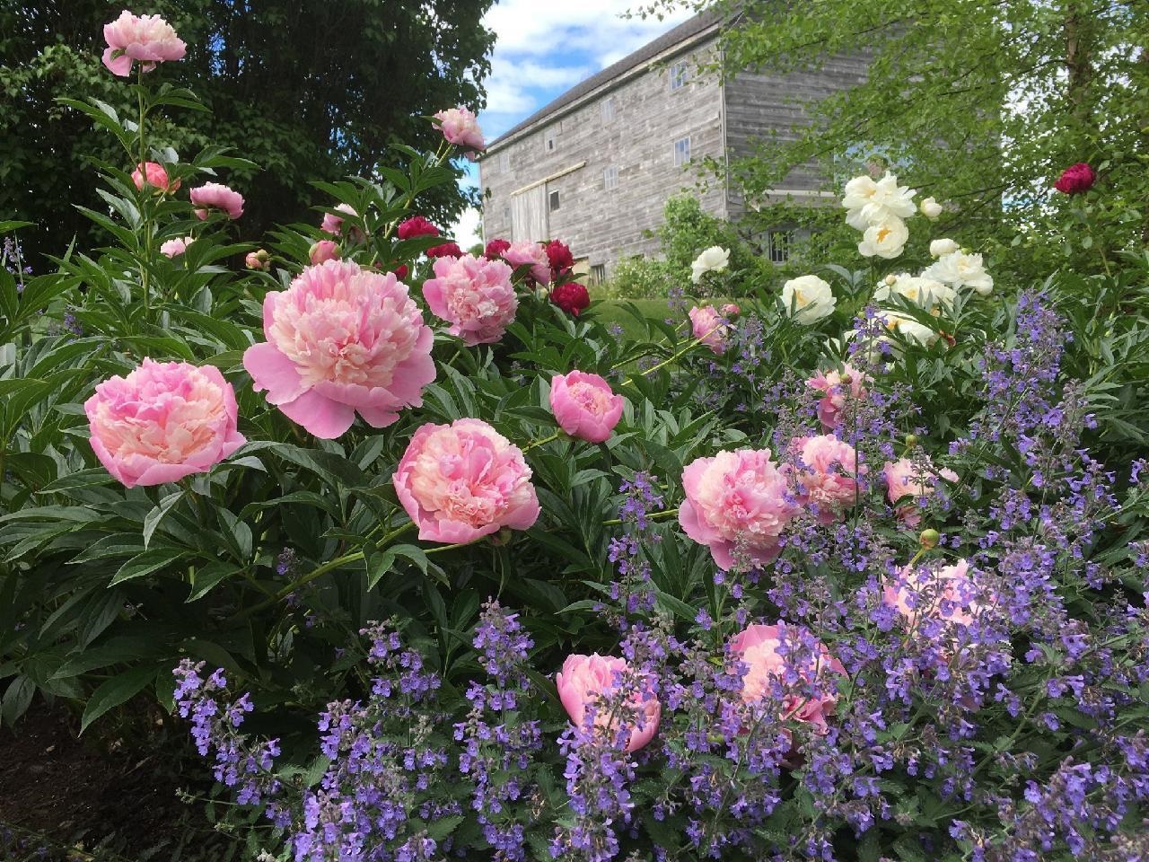612 Cold Spring Road Shaftsbury, VT 05257 - Photo 39 of 40