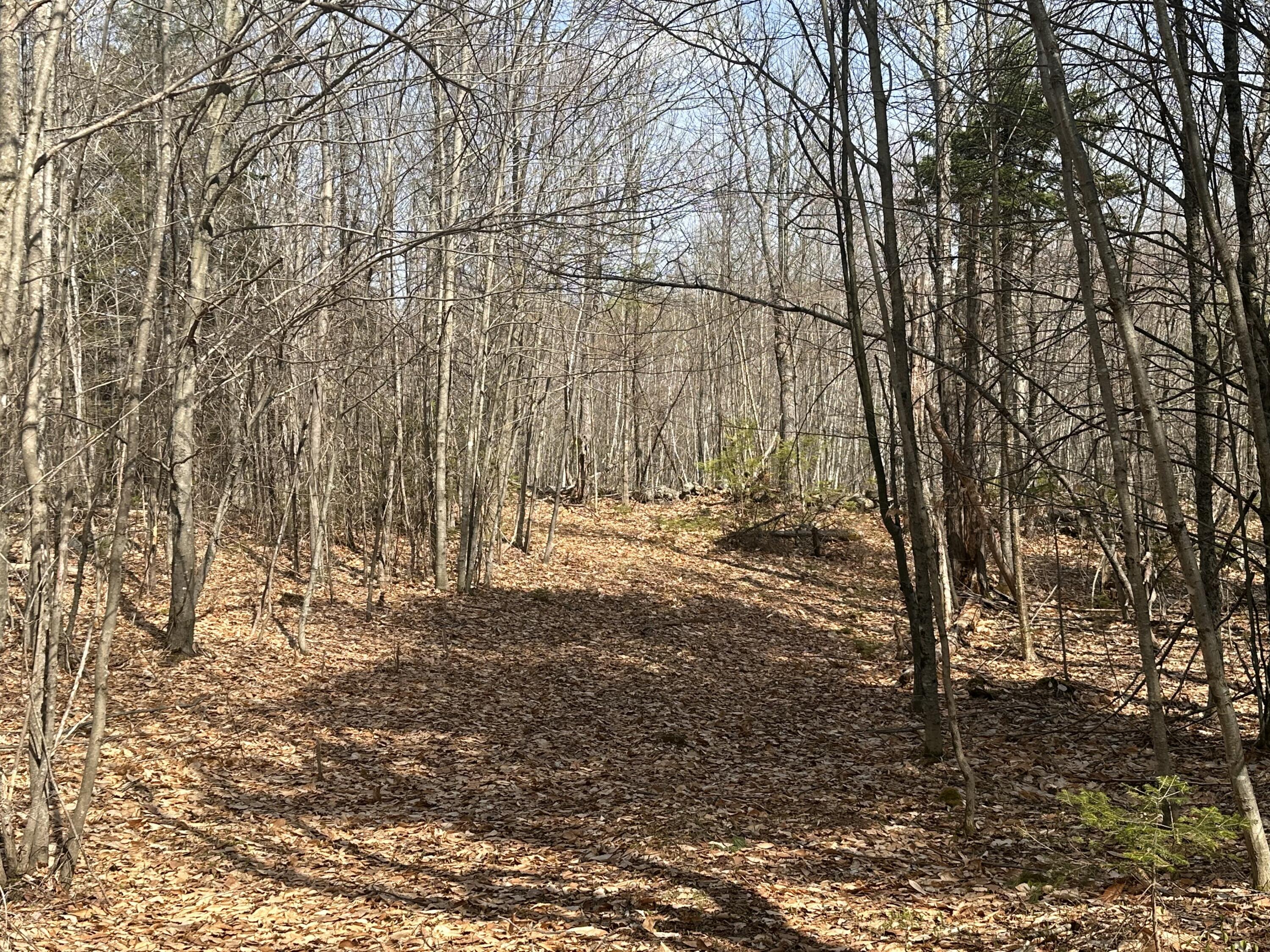 Lot 2 Filaroska Road New Sharon, ME 04955 - Photo 14 of 40 IMG_20260506_084153 (1)
