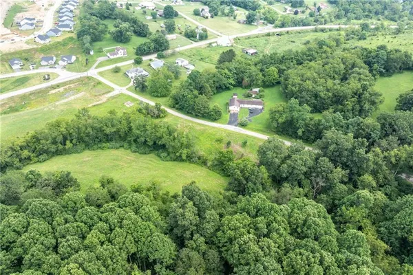 a view of a large yard with lots of green space and plants
