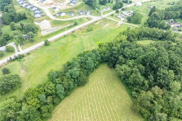 a view of a yard