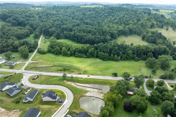 an aerial view of a house with a yard and lake view