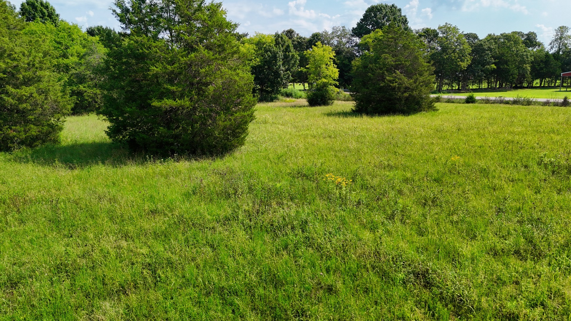 6 Cedar Grove Road Murfreesboro, TN 37127 - Photo 56 of 66 Gallery Image 56