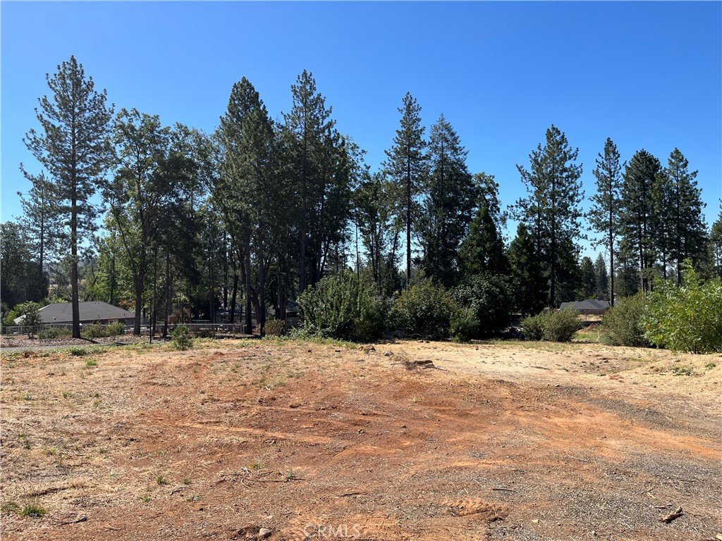 9238 Skyway Road Paradise, CA 95969 - Photo 7 of 9