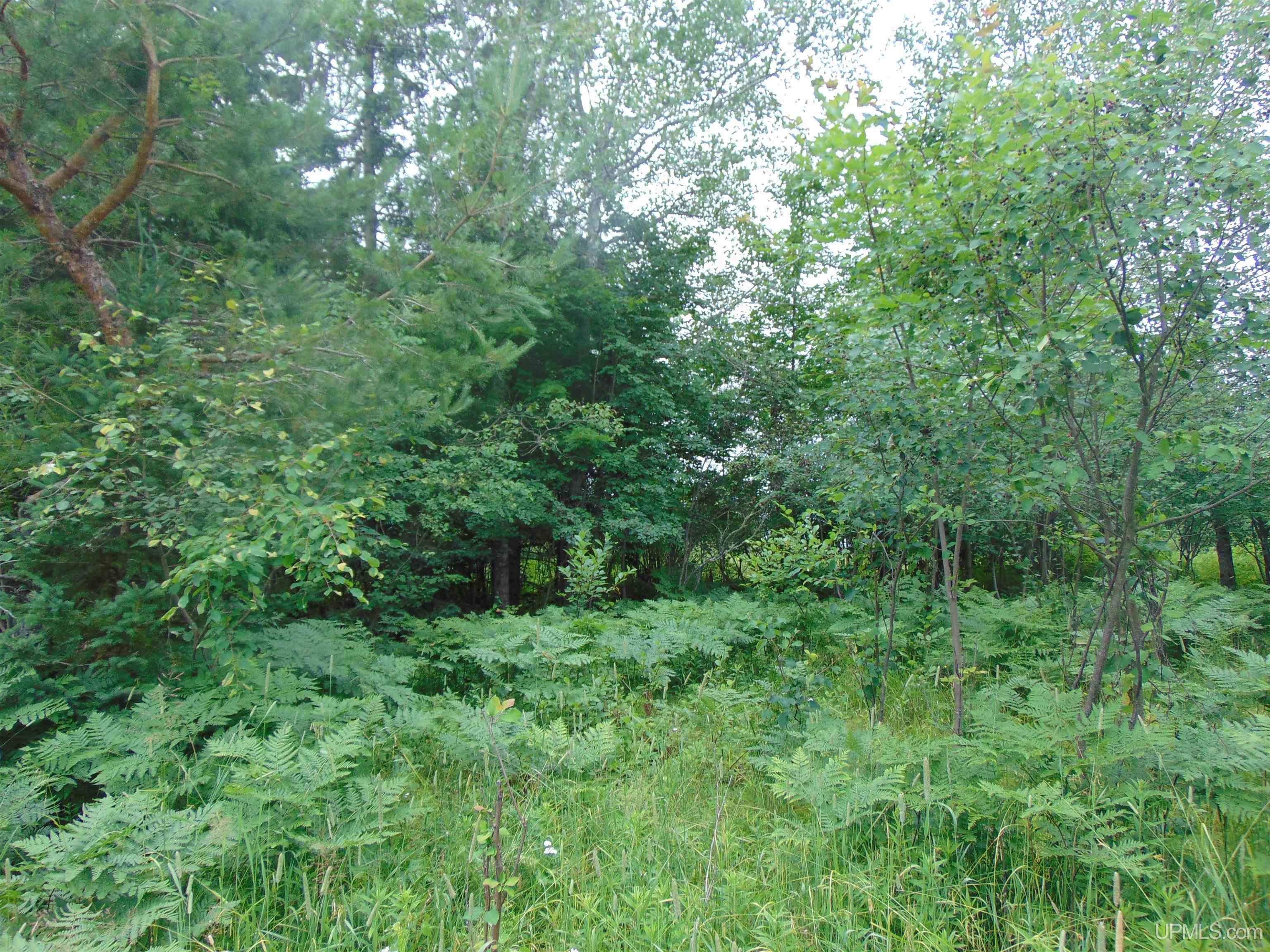 15 Grenlund Road Bruce Crossing, MI 49912 - Photo 10 of 18