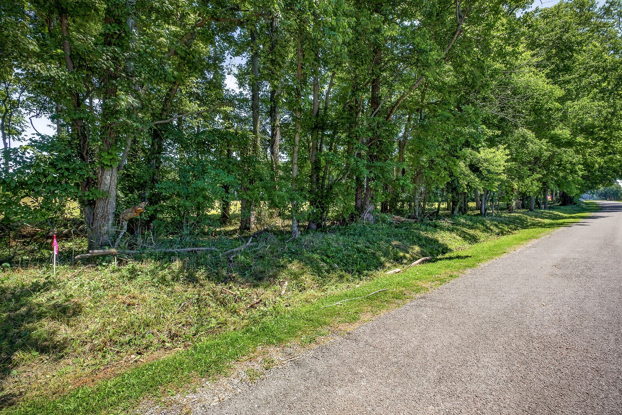 0 Bethel Road Smithville, TN 37166 - Photo 14 of 19 Gallery Image 14
