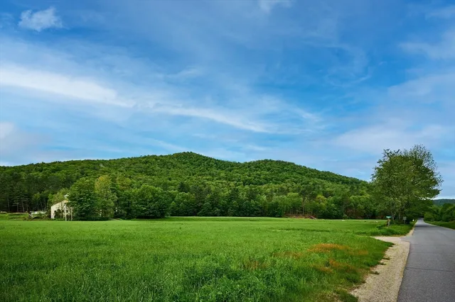 a view of grassy field with mountain in background