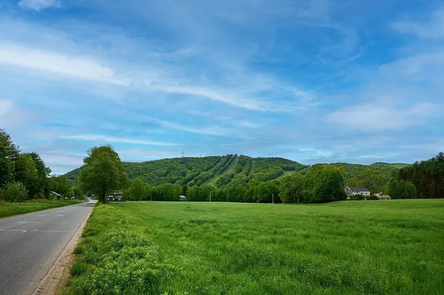 a view of a garden with an trees