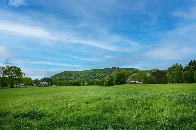 a view of a garden and mountains