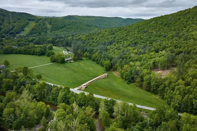 a view of a lush green hillside and a houses