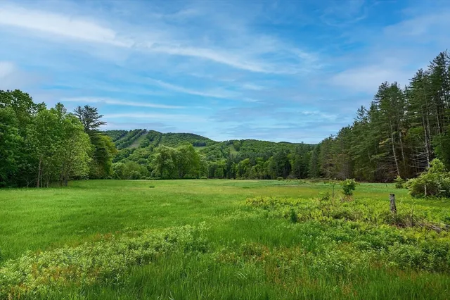 a view of a lush green space