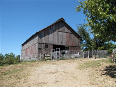 1240 Jim Clark Road Lancaster, KY 40444 - Photo 14 of 34 Tobacco Barn used for livestock handling