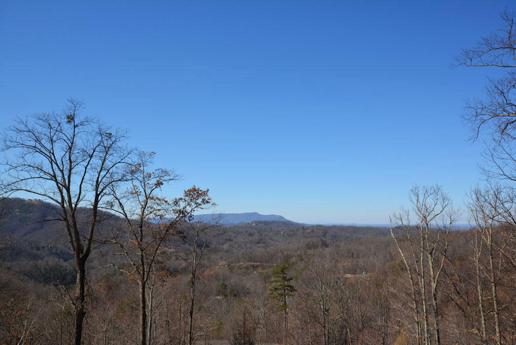 1110 East Kings Ridge Road Gatlinburg, TN 37738 - Photo 2 of 10 B