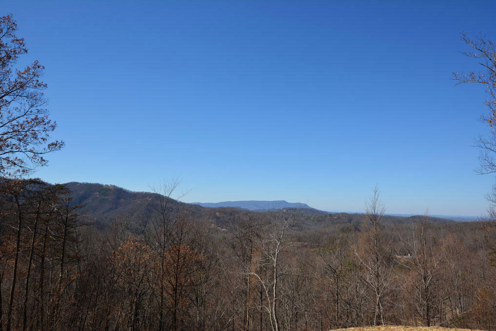 1110 East Kings Ridge Road Gatlinburg, TN 37738 - Photo 3 of 10 C