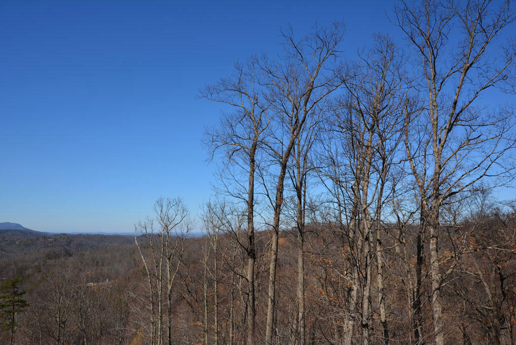 1110 East Kings Ridge Road Gatlinburg, TN 37738 - Photo 6 of 10 F