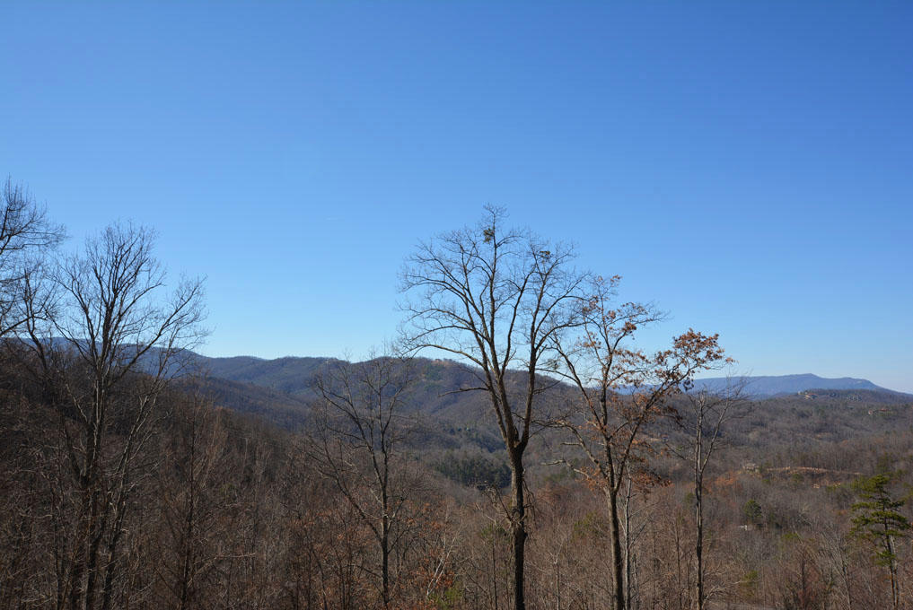 1110 East Kings Ridge Road Gatlinburg, TN 37738 - Photo 7 of 10 G