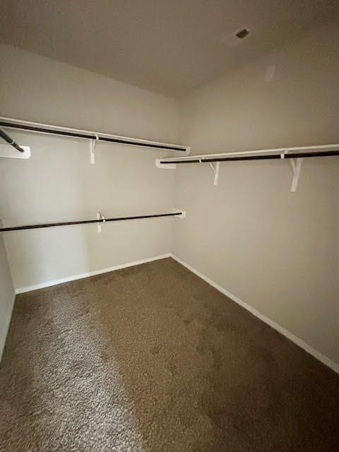 14381 Whitetop Peak Court Conroe, TX 77384 - Photo 15 of 39 Primary walk in closet