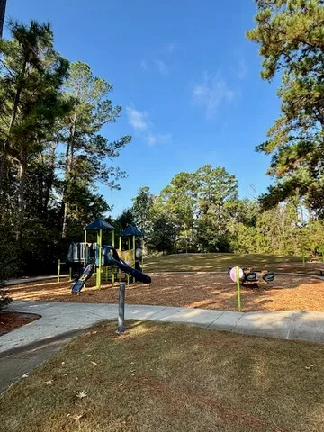 $2,395 | 14381 Whitetop Peak Court, Conroe, TX 77384