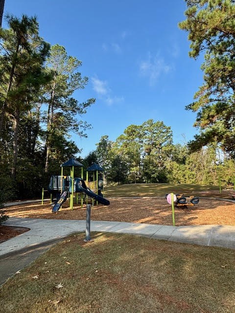 14381 Whitetop Peak Court Conroe, TX 77384 - Photo 31 of 39 Playground